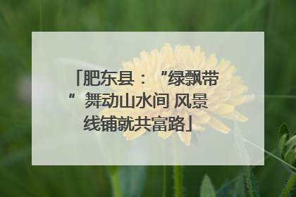肥东县：“绿飘带”舞动山水间 风景线铺就共富路
