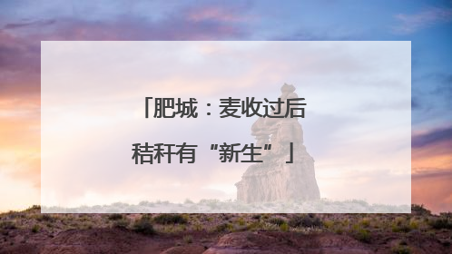肥城：麦收过后秸秆有“新生”