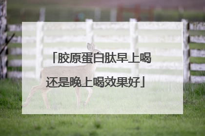 胶原蛋白肽早上喝还是晚上喝效果好