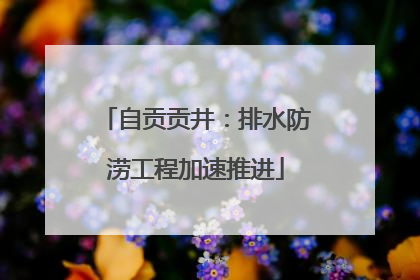 自贡贡井：排水防涝工程加速推进