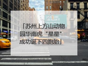 苏州上方山动物园华南虎“星星”成功诞下四胞胎
