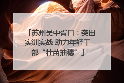 苏州吴中胥口：突出实训实战 助力年轻干部“壮苗抽穗”
