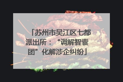 苏州市吴江区七都派出所：“调解智囊团”化解涉企纠纷