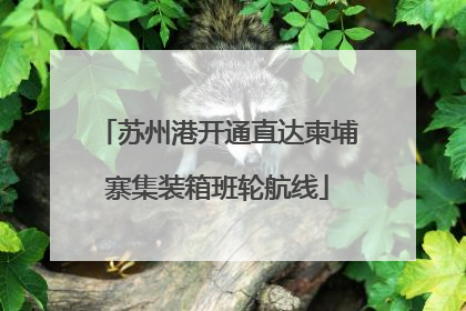 苏州港开通直达柬埔寨集装箱班轮航线
