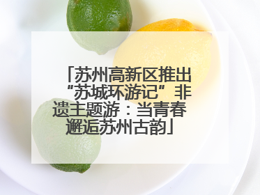 苏州高新区推出“苏城环游记”非遗主题游：当青春邂逅苏州古韵