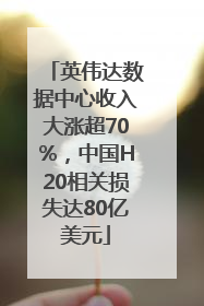 英伟达数据中心收入大涨超70%，中国H20相关损失达80亿美元