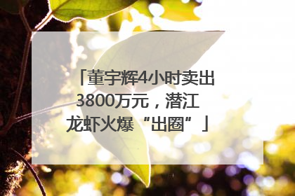 董宇辉4小时卖出3800万元，潜江龙虾火爆“出圈”