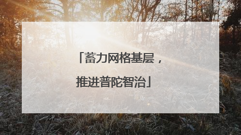 蓄力网格基层，推进普陀智治