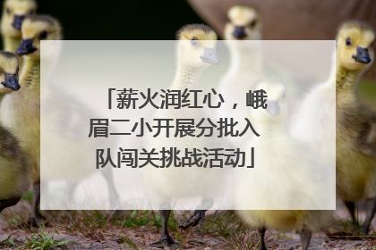 薪火润红心，峨眉二小开展分批入队闯关挑战活动