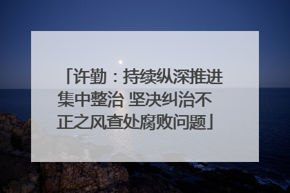 许勤：持续纵深推进集中整治 坚决纠治不正之风查处腐败问题