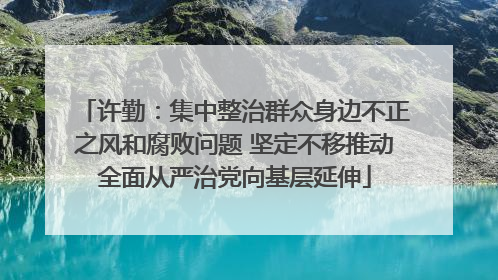 许勤：集中整治群众身边不正之风和腐败问题 坚定不移推动全面从严治党向基层延伸
