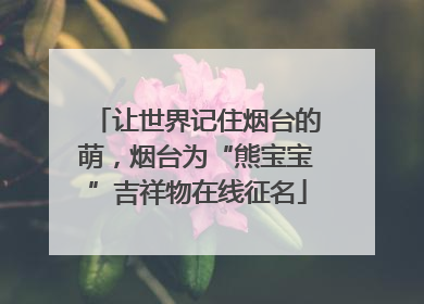 让世界记住烟台的萌，烟台为“熊宝宝”吉祥物在线征名
