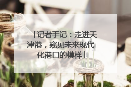 记者手记：走进天津港，窥见未来现代化港口的模样