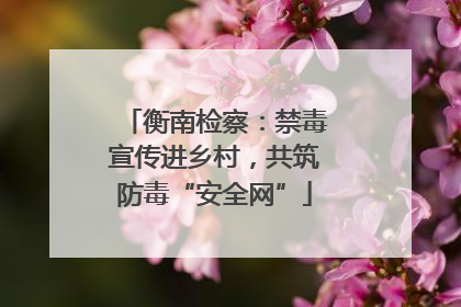 衡南检察：禁毒宣传进乡村，共筑防毒“安全网”