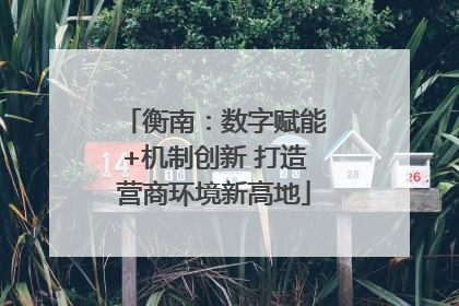 衡南：数字赋能+机制创新 打造营商环境新高地