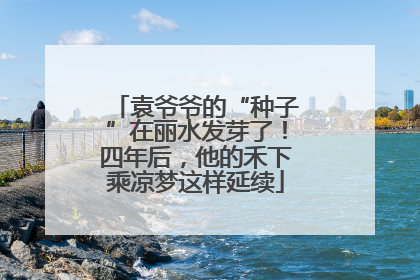 袁爷爷的“种子”在丽水发芽了！四年后，他的禾下乘凉梦这样延续