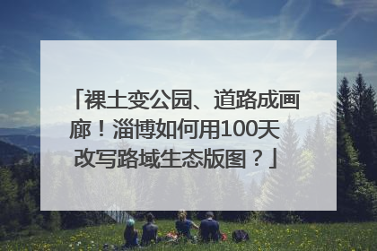 裸土变公园、道路成画廊！淄博如何用100天改写路域生态版图？