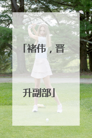 褚伟，晋升副部