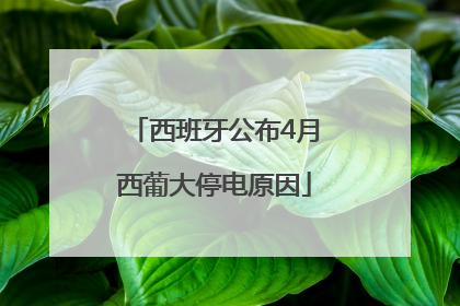 西班牙公布4月西葡大停电原因