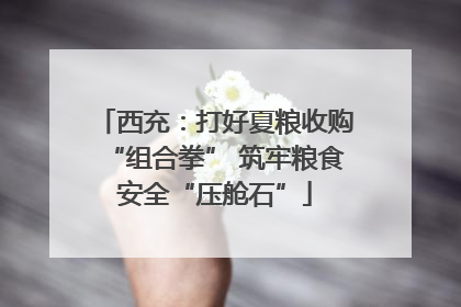 西充：打好夏粮收购“组合拳” 筑牢粮食安全“压舱石”