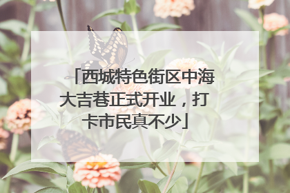 西城特色街区中海大吉巷正式开业，打卡市民真不少