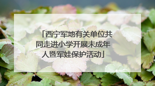 西宁军地有关单位共同走进小学开展未成年人暨军娃保护活动