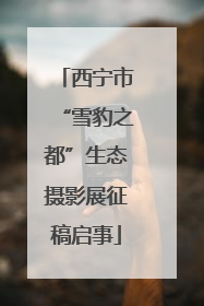 西宁市“雪豹之都”生态摄影展征稿启事