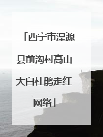 西宁市湟源县前沟村高山大白杜鹃走红网络