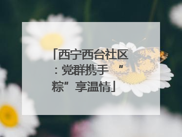 西宁西台社区：党群携手 “粽”享温情