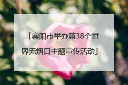 襄阳市举办第38个世界无烟日主题宣传活动
