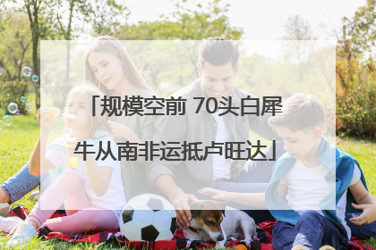 规模空前 70头白犀牛从南非运抵卢旺达