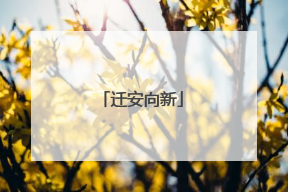 迁安向新