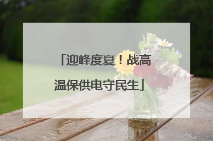迎峰度夏！战高温保供电守民生