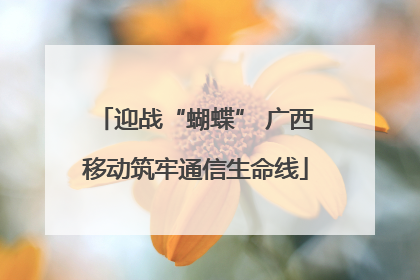 迎战“蝴蝶” 广西移动筑牢通信生命线