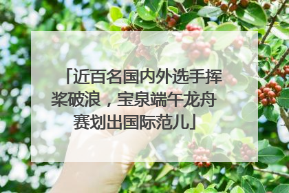 近百名国内外选手挥桨破浪，宝泉端午龙舟赛划出国际范儿