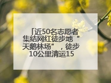 近50名志愿者集结网红徒步地“天鹅林场”，徒步10公里清运150余斤山野垃圾