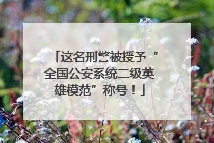 这名刑警被授予“全国公安系统二级英雄模范”称号！