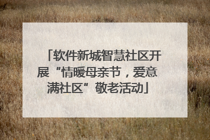 软件新城智慧社区开展“情暖母亲节，爱意满社区”敬老活动