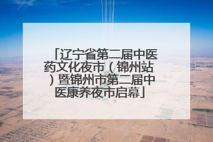辽宁省第二届中医药文化夜市（锦州站）暨锦州市第二届中医康养夜市启幕
