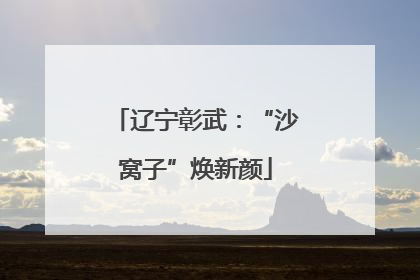 辽宁彰武：“沙窝子”焕新颜