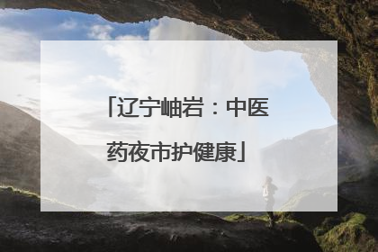 辽宁岫岩：中医药夜市护健康