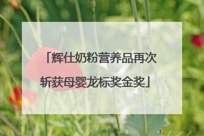辉仕奶粉营养品再次斩获母婴龙标奖金奖