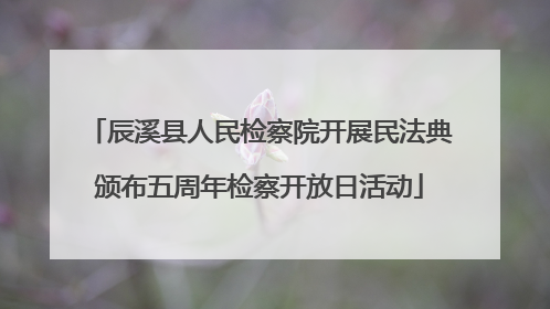 辰溪县人民检察院开展民法典颁布五周年检察开放日活动