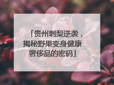贵州刺梨逆袭，揭秘野果变身健康奢侈品的密码