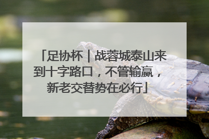 足协杯｜战蓉城泰山来到十字路口，不管输赢，新老交替势在必行