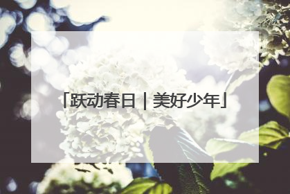 跃动春日｜美好少年