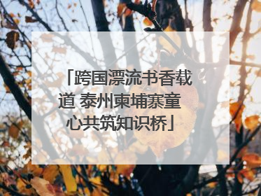 跨国漂流书香载道 泰州柬埔寨童心共筑知识桥