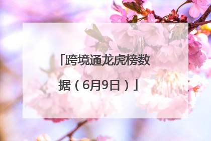 跨境通龙虎榜数据（6月9日）