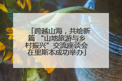 跨越山海，共绘新篇 “山地旅游与乡村振兴”交流座谈会在里斯本成功举办