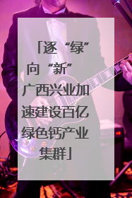 逐“绿”向“新” 广西兴业加速建设百亿绿色钙产业集群